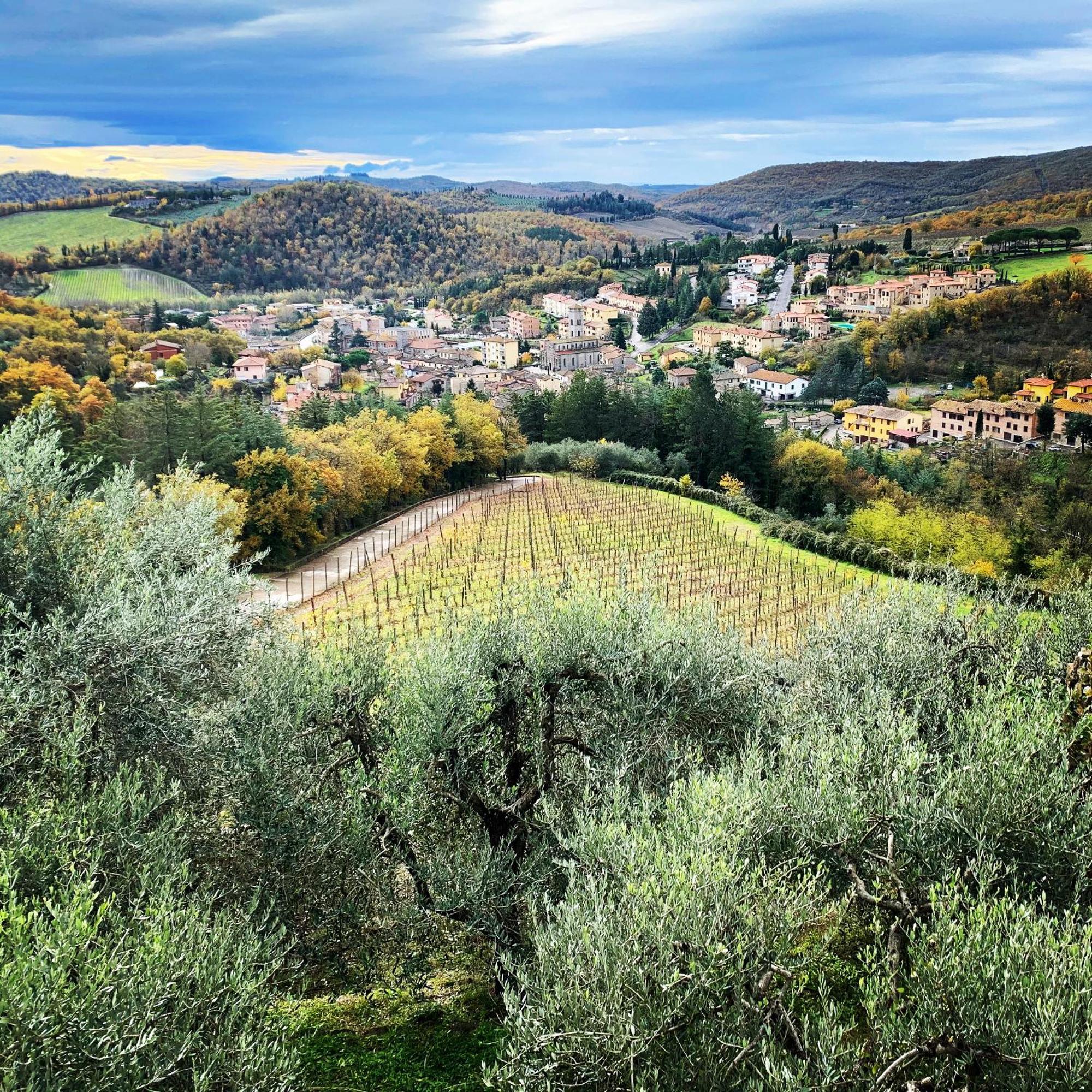 Capannelle Wine Resort Gaiole in Chianti Exterior photo