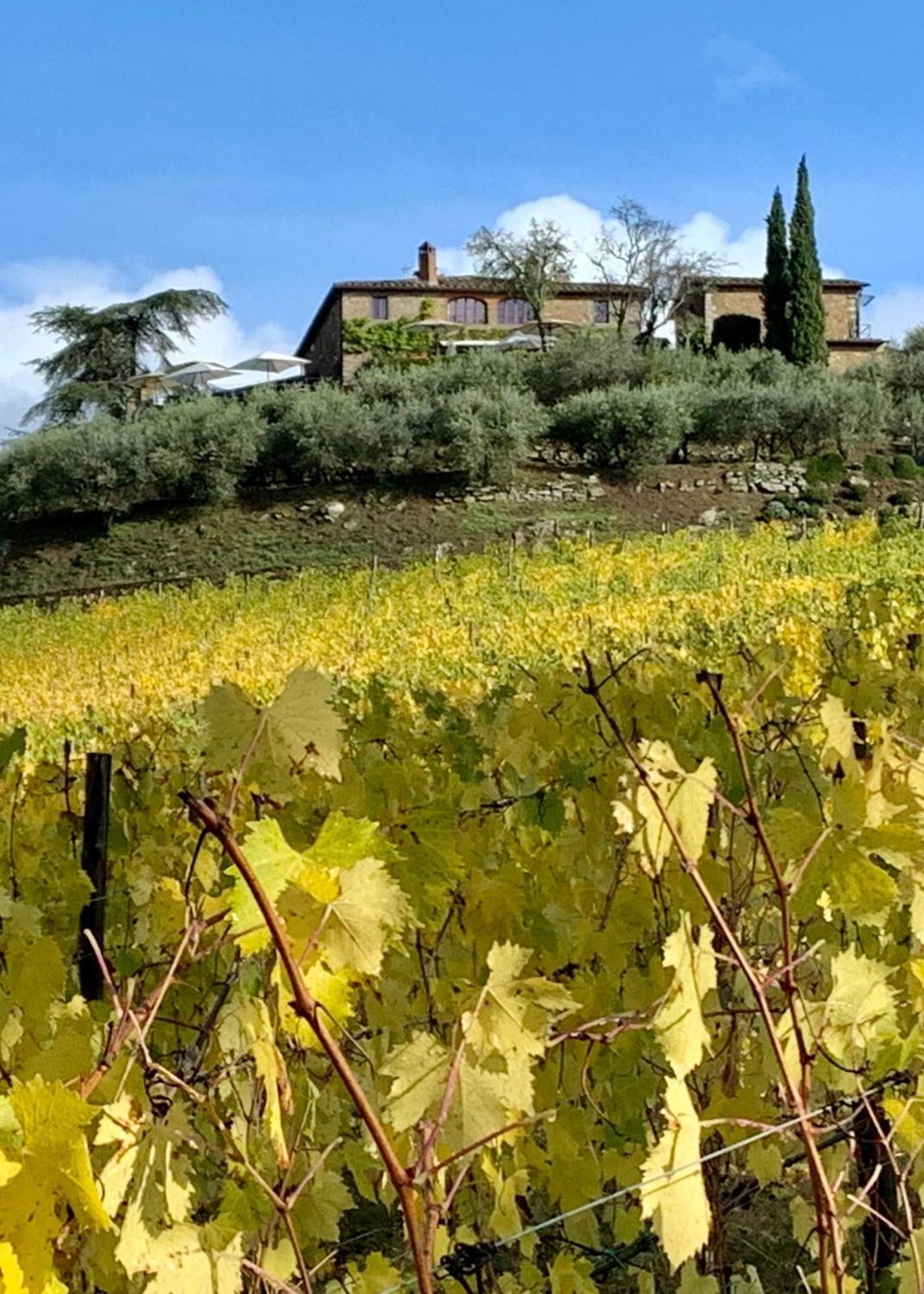 Capannelle Wine Resort Gaiole in Chianti Exterior photo